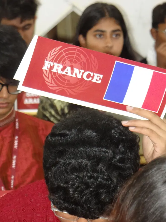 France’s placard goes up in committee.
